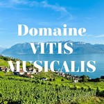 domaine_vitis_musicalis