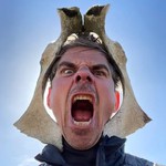 rodentiletgodtliv