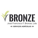 bronze_lda
