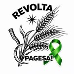 revoltapagesa