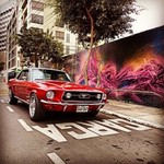 cvp_mustang