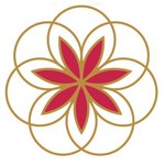 amadeus_vienna