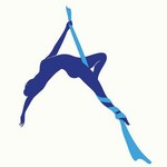 aerialfitonline