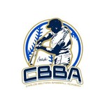 carlosbeltranbaseballacademy