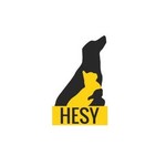 hesyry