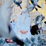 gihad_abdelaziz