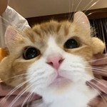 gluaymunchkin