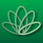 cairoammanbank