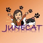 junecat_ifa