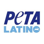 officialpetalatino