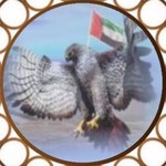 sqor.uae