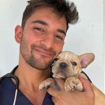 amir_the_vet