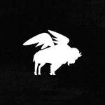 buffalowingselsalvador
