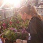 manal.massoud