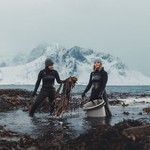 lofotenseaweed