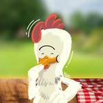 pollosdonjuan