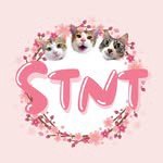 stnt_workshop