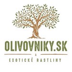 olivovniky.sk