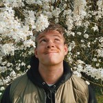 joeys_jungle