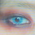 xeesoxee