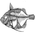 furfossiler