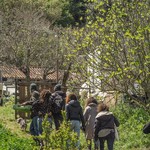ecoaldeiadovale