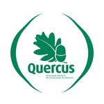 quercus.ancn