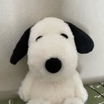 explorewithsnoopy