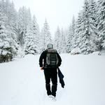 radu.holerga