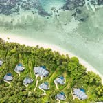 camelia.luxurytravelconsultant